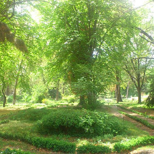 اراضی، باغات، جنگلها و بیابانها